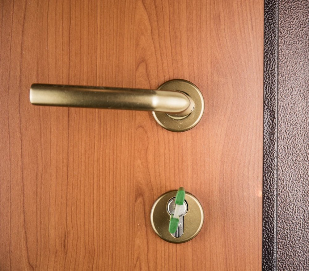 Intérieur résidentiel avec porte en bois naturel équipée d'une poignée moderne en laiton brossé et serrure de sécurité